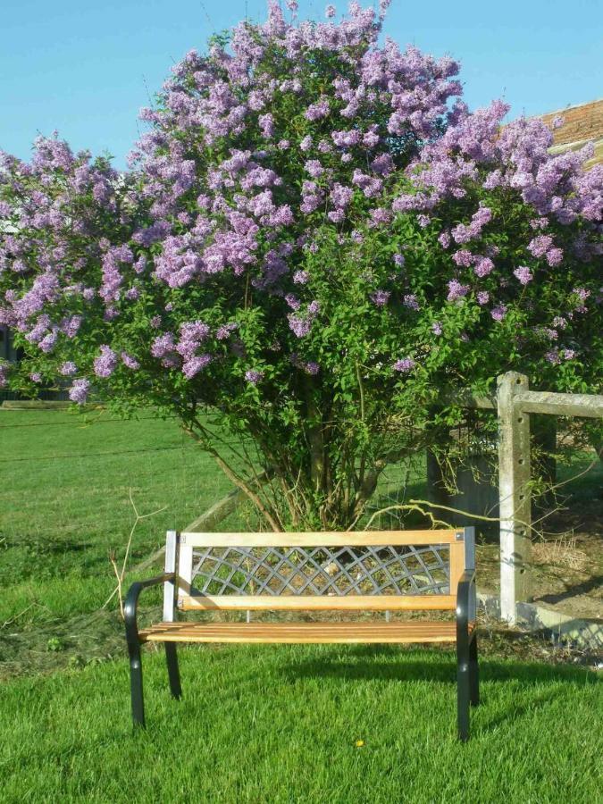 Ma Kabane Villa Couvains  Kültér fotó